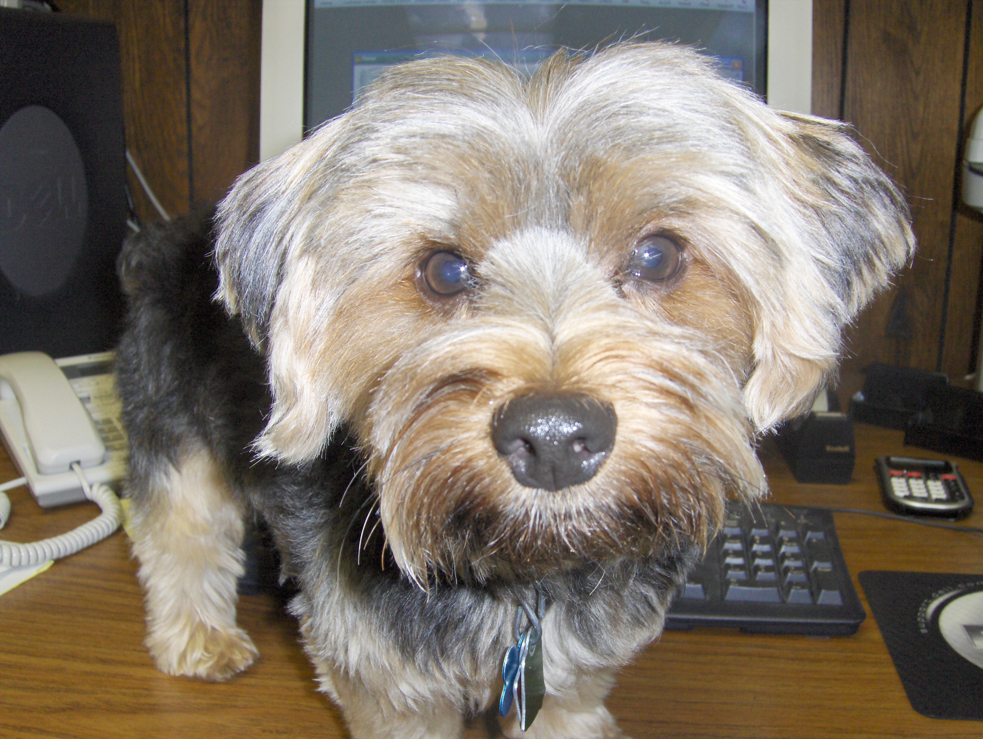 Robbie, Vice President of Customer Care